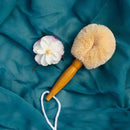 Eco Max Travel Brush