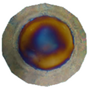 Tesla Homecare House Kit