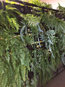 Vertical Gardens Pots