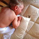 Wool Pillow - Cot/Travel