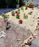 Certified Organic Jute