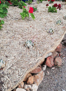 Certified Organic Jute