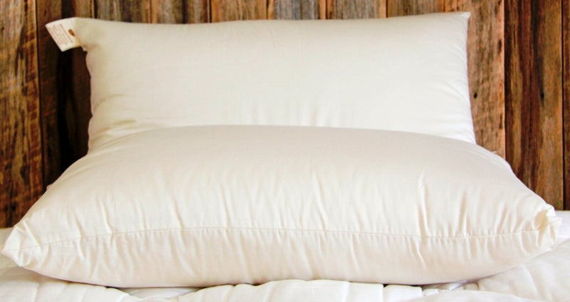 King Organic Wool pillow