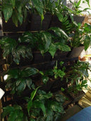 Vertical Gardens Pots