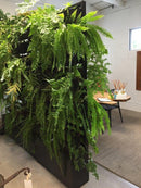 Vertical Gardens Pots